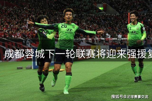 成都蓉城下一轮联赛将迎来强援复出！曾是瑞超王牌主力，值得期待